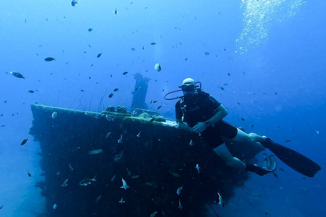 2 guided shore dives in Curacao - Guides who make the experience personal