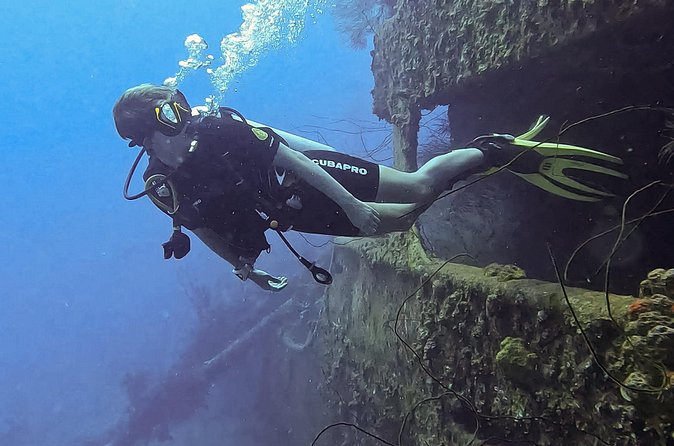 2 guided shore dives in Curacao - Who should book this Curacao outing