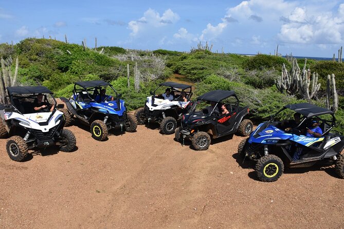 2-Hour Buggy Adventure Tour in Curacao - At a glance