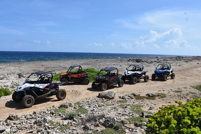 2-Hour Buggy Adventure Tour in Curacao - The Koraal Tabak trail is the main off-road stretch