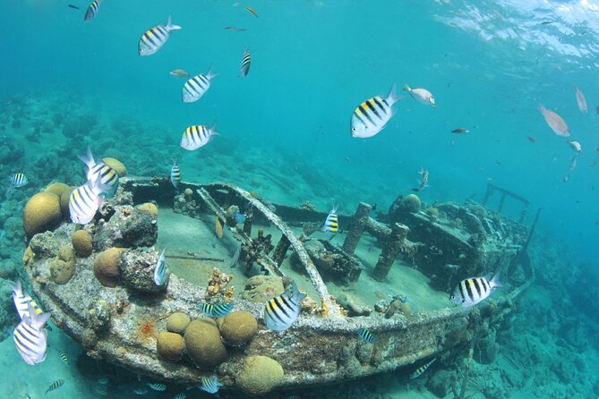 2 Tank Guided Dive half-day - Marie Pampoen combines reef and vehicle remains