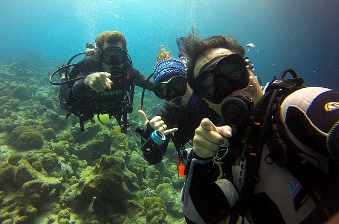 2 tank guided dive House Reef (Pierbaai Reef and Car Pile) - Recent experience is a firm requirement