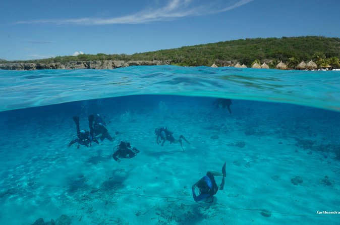 2 tank guided dive House Reef (Pierbaai Reef and Car Pile) - The small group is a real advantage