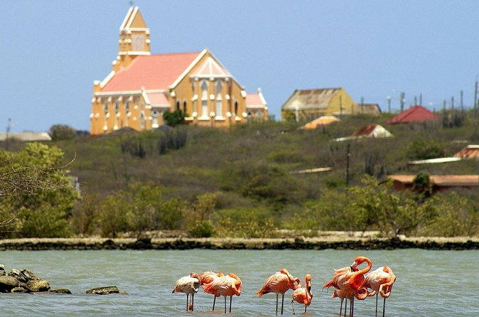 4 to 5 Hour Private SUV Trip - Daniel’s guiding style is part of the value