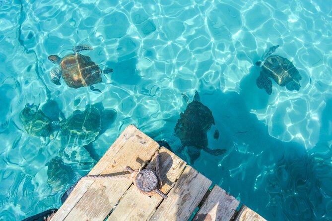 6 Hour Private Guided Tour Beyond the Beaches of Curacao - The private guide makes the difference
