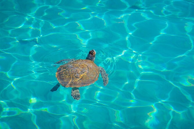 6 Hours Guided Beach Escape - Who Will Enjoy This Beach Escape