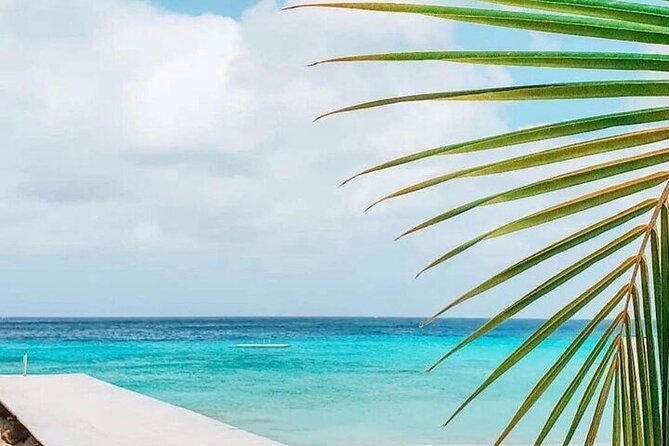 Authentic Curacao : Private Full island Tour - The guides make or break the day