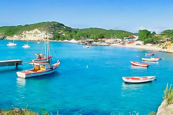 Curaçao: Affordable totally Customizable Private Tour :) - Flamingos, salt flats, and the quieter west side