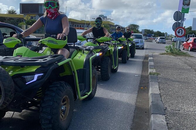 Curacao Atv tour West Adventure - Flamingos near St. Willibrordus