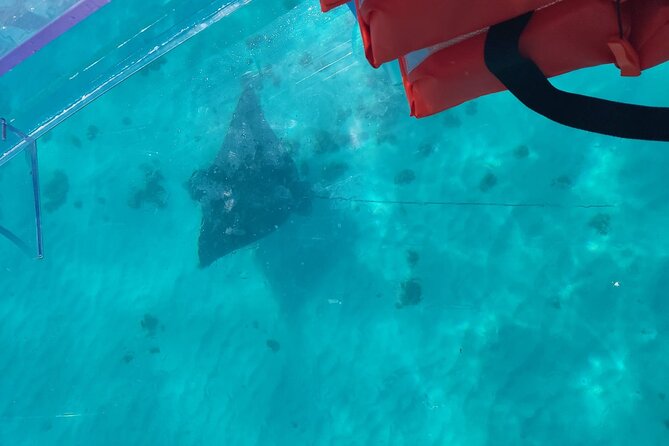 Curaçao ClearBoat Snorkel Tour – Daaibooi, Porto Marie & Cas Abao - The coast near Cas Abao