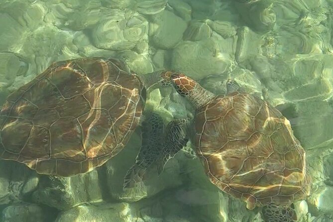Curaçao ClearBoat Snorkel Tour – Daaibooi, Porto Marie & Cas Abao - The return to Daaibooi