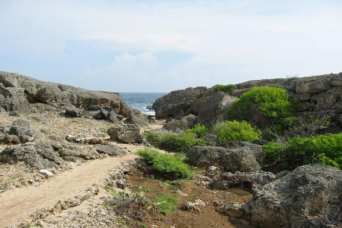 Curacao Complete Island Tour - Why this is a useful first look at Curaçao