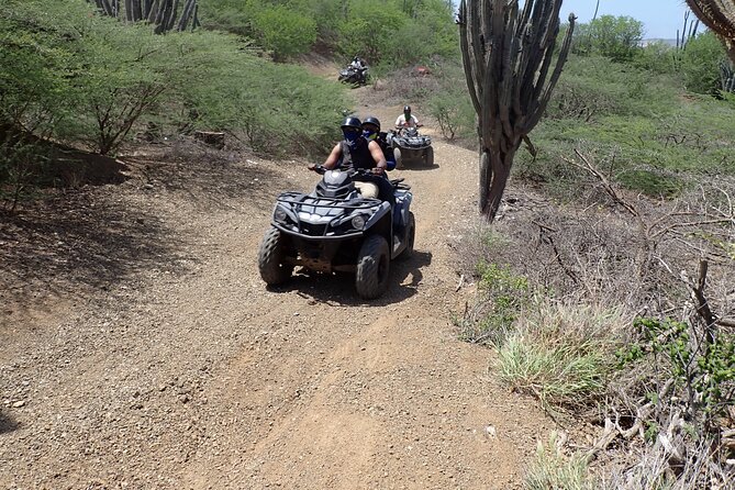 Curacao Half Day or Full Day ATV West Adventure Tour - Flamingos at Dream of the Green Flamingo