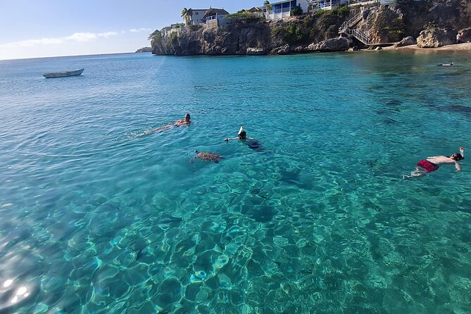 Curaçao Nature Lovers Tour - Curaçao in one active half-day