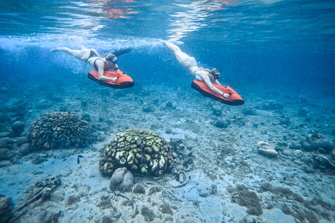 Curaçao Seabob in Playa Piskado Adventure with Sea Turtles - Key points at a glance