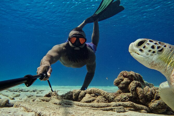 Curaçao Seabob in Playa Piskado Adventure with Sea Turtles - What you may see below the surface