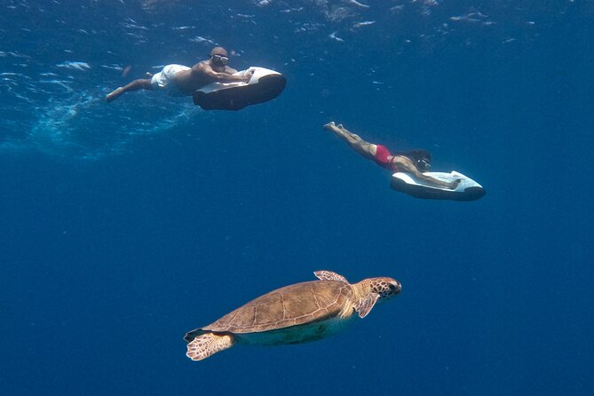 Curaçao Seabob in Playa Piskado Adventure with Sea Turtles - Is $143.21 a fair price?