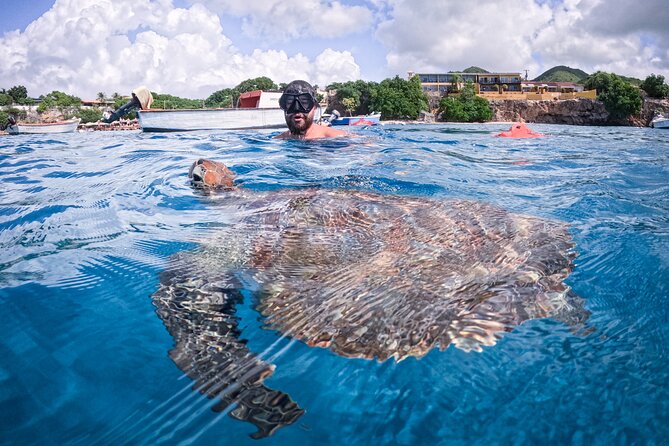 Curaçao Seabob in Playa Piskado Adventure with Sea Turtles - Who should book this activity?