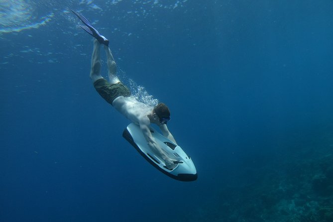 Curaçao Seabob Tour (by Bearded Butlers Curaçao) - Who Will Enjoy This Most