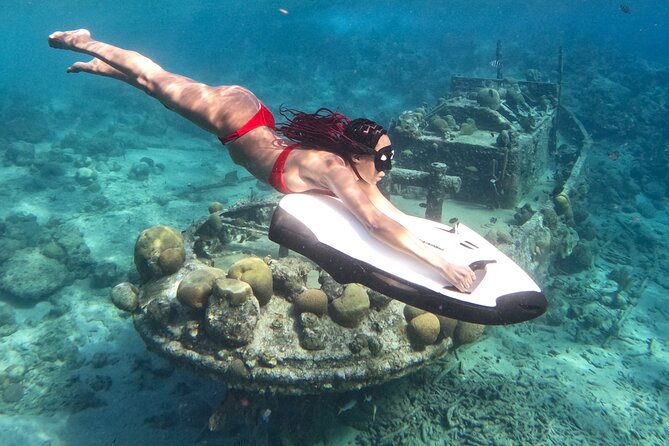Curaçao Seabob Tugboat Adventure (Andymaxadventures Curaçao) - What you can see underwater