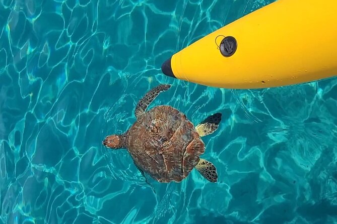 Curaçao: Waterbike Experience & Swim with Turtles Adventure - What the Waterbike Ride Is Really Like
