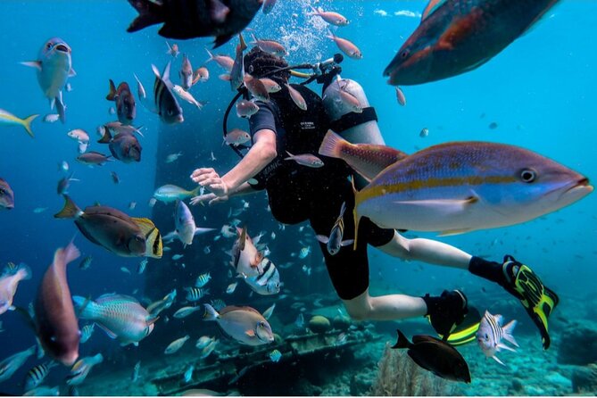 Discover Diving in Curaçao with Transportation Included - Why This Is a Good First Scuba Experience