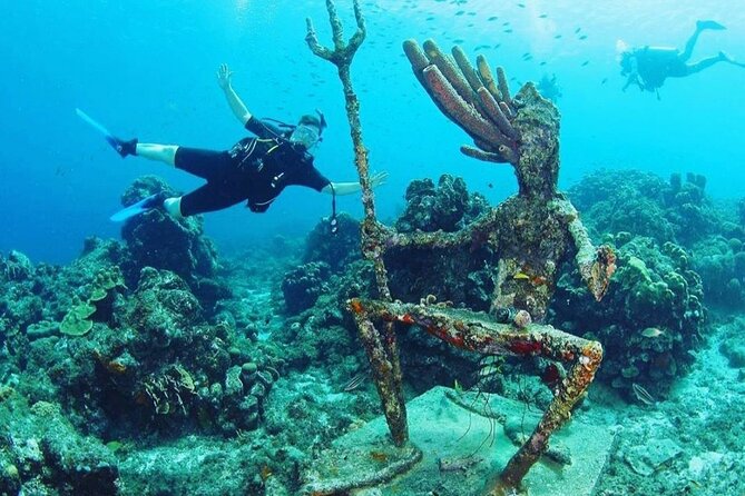 Discover Diving in Curaçao with Transportation Included - What You May See Beneath the Surface