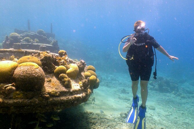 Discover Diving in Curaçao with Transportation Included - Who Should Choose This Outing?