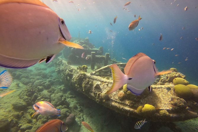 Discover Scuba Dive in Curacao - Small details that make the afternoon easier