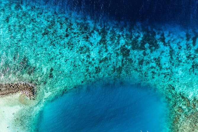 Discover Scuba Diving Experience - Learning the basics before entering the water