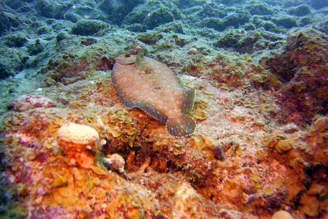 Discover Scuba Diving in Curacao - Moving from practice to the Tugboat