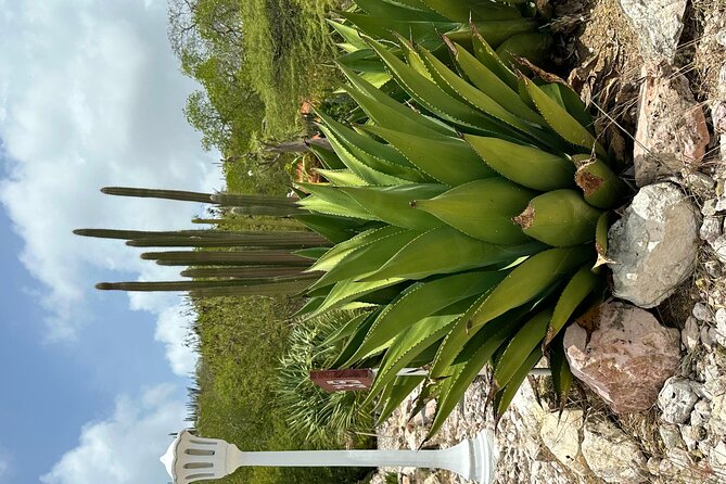 Exclusive 4 -Hour Private nature Tour: West Curacao's Best - Hato Caves: Curaçao’s Underground Start