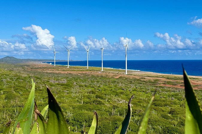 Exclusive 4 -Hour Private nature Tour: West Curacao's Best - Grote Knip: The Big Beach Reward