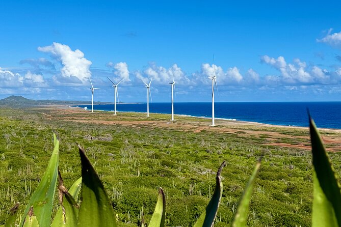 Exclusive 4 -Hour Private nature Tour: West Curacao's Best - The Value of $295 for Two People