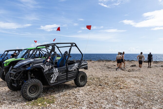 Go West ATV Tour in Curacao - Salt flats, shallow water, and flamingos