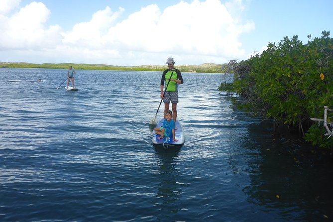 Guided paddleboarding (SUP) mangrove ECO tour for beginners - The break gives you time to cool down