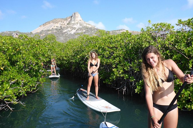 Guided paddleboarding (SUP) mangrove ECO tour for beginners - The downwind return changes the feel of the outing