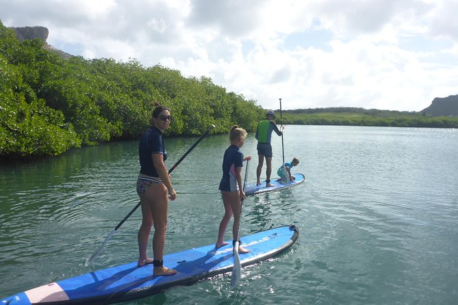 Guided paddleboarding (SUP) mangrove ECO tour for beginners - What the $65 price covers