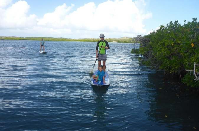Guided paddleboarding (SUP) mangrove ECO tour for beginners - Who will enjoy this most