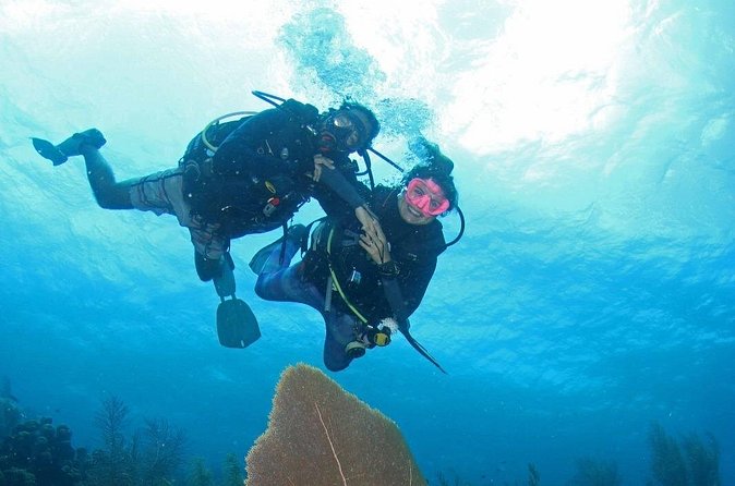 Guided Shore Dive for Certified Divers with Scubaçao (1 tank) - Gear preparation and the one-tank format