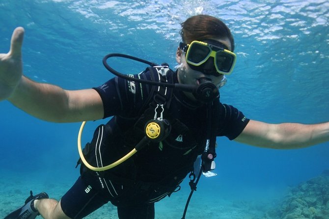 Guided Shore Dive for Certified Divers with Scubaçao (1 tank) - What the underwater portion can offer