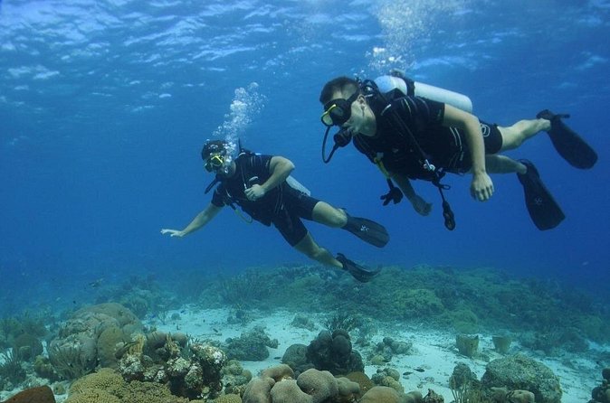 Guided Shore Dive for Certified Divers with Scubaçao (1 tank) - Why the small group matters