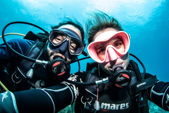 Guided Shore Dive for Certified Divers with Scubaçao (2 tank) - The surface interval and second entry