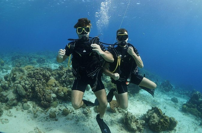 Guided Shore Dive for Certified Divers with Scubaçao (2 tank) - Safety, certification, and comfort