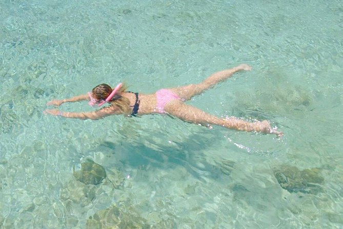 Guided Snorkel Tour at the Best Reef from shore on Curacao - Blue Bay Beach - What the $55 Price Delivers