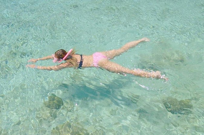 Guided Snorkel Tour at the Best Reef from shore on Curacao - Blue Bay Beach - Weather, Cancellation, and Practical Planning