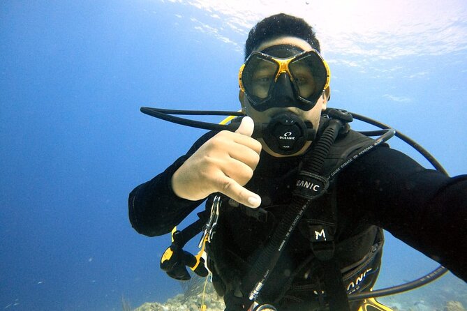 Half Day Diving adventure with Transportation Included - Key points to know before booking