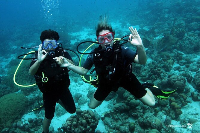Half Day Diving adventure with Transportation Included - Why the eight-person limit matters