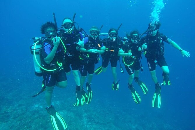 Half Day Diving adventure with Transportation Included - The morning plan, from pickup to return