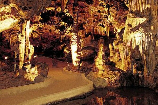 Half Day Hato Cave, Flamingo & Beach Tour - Key points at a glance